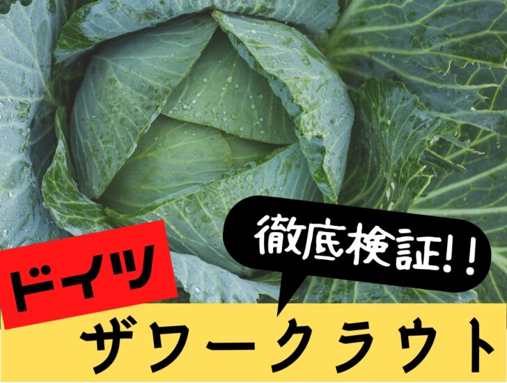 腸の健康の改善